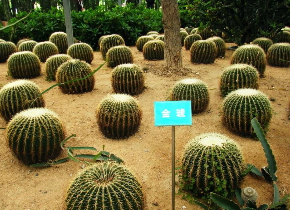 【揚(yáng)州綠之源環(huán)?！客苛系刃袠I(yè)迎來(lái)VOCs廢氣治理風(fēng)暴