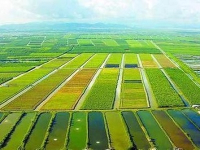 【揚州綠之源環(huán)保】企業(yè)如何選擇最佳VOCs廢氣治理技術